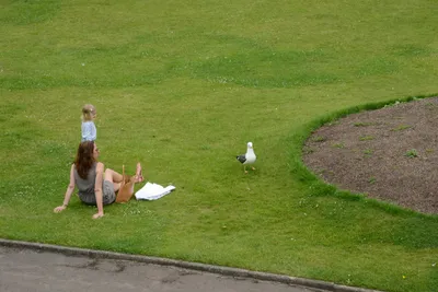 DSC_2537 (Large).JPG